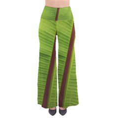 Ensete Leaf Pants