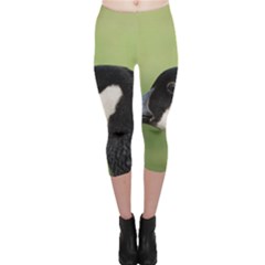 Goose Bird In Nature Capri Leggings  by picsaspassion