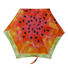 Abstract Watermelon Mini Folding Umbrellas