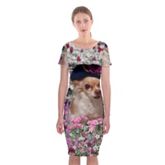 Chi Chi In Flowers, Chihuahua Puppy In Cute Hat Classic Short Sleeve Midi Dress by DianeClancy