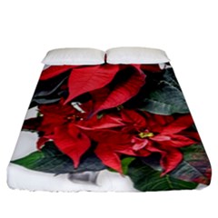 Star Of Bethlehem Star Red Fitted Sheet (california King Size)