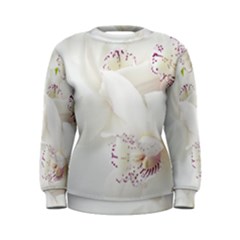 Orchids Flowers White Background Women s Sweatshirt by Amaryn4rt