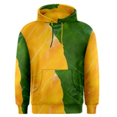 Wet Yellow And Green Leaves Abstract Pattern Men s Pullover Hoodie by Amaryn4rt