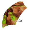 Umbrellas Parasols Design Rain Mini Folding Umbrellas View2