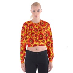 Gerbera Flowers Blossom Bloom Women s Cropped Sweatshirt by Nexatart