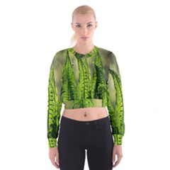 Fern Ferns Green Nature Foliage Women s Cropped Sweatshirt by Nexatart