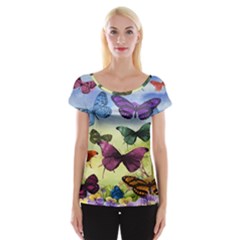 Butterfly Painting Art Graphic Women s Cap Sleeve Top by Nexatart