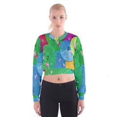 Chinese Umbrellas Screens Colorful Women s Cropped Sweatshirt by Nexatart