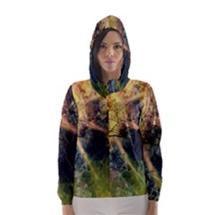 Decoration Decorative Art Artwork Hooded Wind Breaker (women) by Nexatart