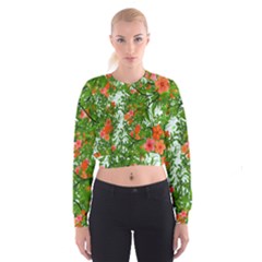 Flower Background Backdrop Pattern Women s Cropped Sweatshirt by Nexatart