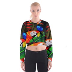 Papgei Red Bird Animal World Towel Women s Cropped Sweatshirt by Nexatart