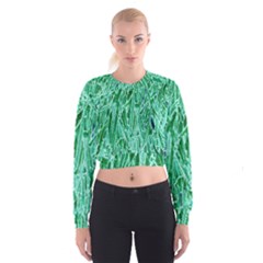 Green Background Pattern Women s Cropped Sweatshirt