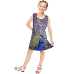 Peacock Bird Feathers Kids  Tunic Dress