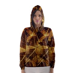 Leaves Autumn Texture Brown Hooded Wind Breaker (women) by Simbadda