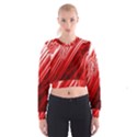 Red Abstract Swirling Pattern Background Wallpaper Women s Cropped Sweatshirt View1