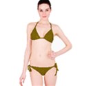 Stripy Starburst Effect Light Orange Green Line Bikini Set View3