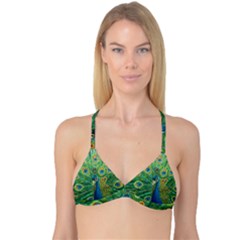 Royalty Reversible Tri Bikini Top