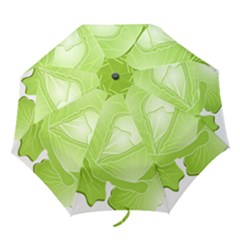 Cabbage Leaf Vegetable Green Folding Umbrellas by Mariart