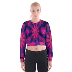 Flower Red Pink Purple Star Sunflower Cropped Sweatshirt