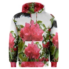 Virginia Waters Flowers Men s Pullover Hoodie by DeneWestUK