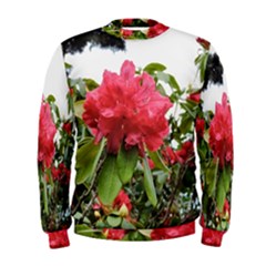 Virginia Waters Flowers Men s Sweatshirt by DeneWestUK