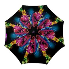 Abstract Patterns Lines Colors Flowers Floral Butterfly Golf Umbrellas by Mariart