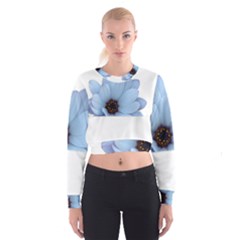 Daisy Flower Floral Plant Summer Cropped Sweatshirt by Nexatart