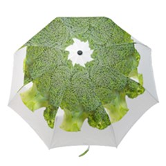 Broccoli Bunch Floret Fresh Food Folding Umbrellas by Nexatart