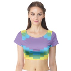 Carmigender Flags Rainbow Short Sleeve Crop Top (tight Fit) by Mariart