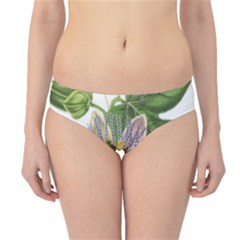 Passion Flower Flower Plant Blossom Hipster Bikini Bottoms