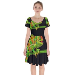 Chameleons Short Sleeve Bardot Dress