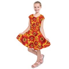 Gerbera Flowers Nature Plant Kids  Short Sleeve Dress by Nexatart