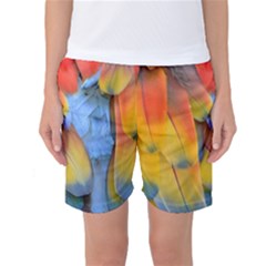 Spring Parrot Parrot Feathers Ara Women s Basketball Shorts by Nexatart