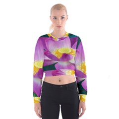 Pink Lotus Flower Cropped Sweatshirt by BangZart