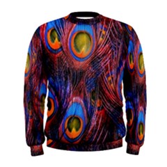 Pretty Peacock Feather Men s Sweatshirt by BangZart