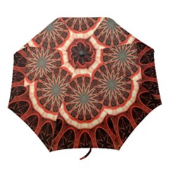 Circle Pattern Folding Umbrellas