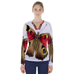 Butterfly Bright Vintage Drawing V-neck Long Sleeve Top