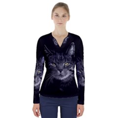 Domestic Cat V-neck Long Sleeve Top