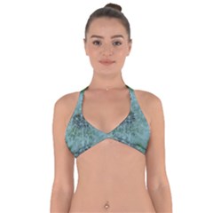 Dsc05992 Halter Neck Bikini Top by DazzleMe