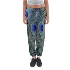 Peacock Feathers Blue Bird Nature Women s Jogger Sweatpants by Nexatart