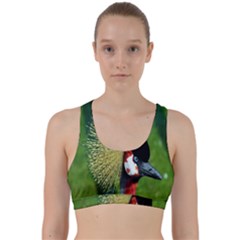 Bird Hairstyle Animals Sexy Beauty Back Weave Sports Bra