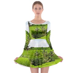 Bali Rice Terraces Landscape Rice Long Sleeve Skater Dress by Nexatart