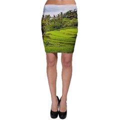 Rice Terrace Terraces Bodycon Skirt by Nexatart