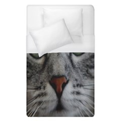 Cat Face Eyes Gray Fluffy Cute Animals Duvet Cover (single Size) by Mariart