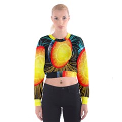 Cross Section Earth Field Lines Geomagnetic Hot Cropped Sweatshirt