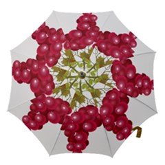 Red Fruit Grape Hook Handle Umbrellas (small) by Mariart