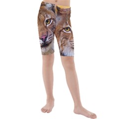 Tiger Beetle Lion Tiger Animals Kids  Mid Length Swim Shorts by Mariart