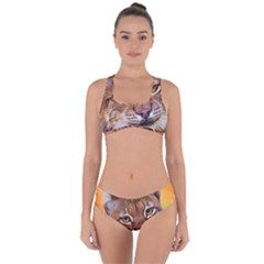 Tiger Beetle Lion Tiger Animals Criss Cross Bikini Set by Mariart