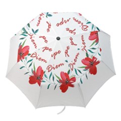 Carpe Diem  Folding Umbrellas by Valentinaart