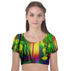 Abstract Vibrant Colour Botany Velvet Crop Top by Celenk